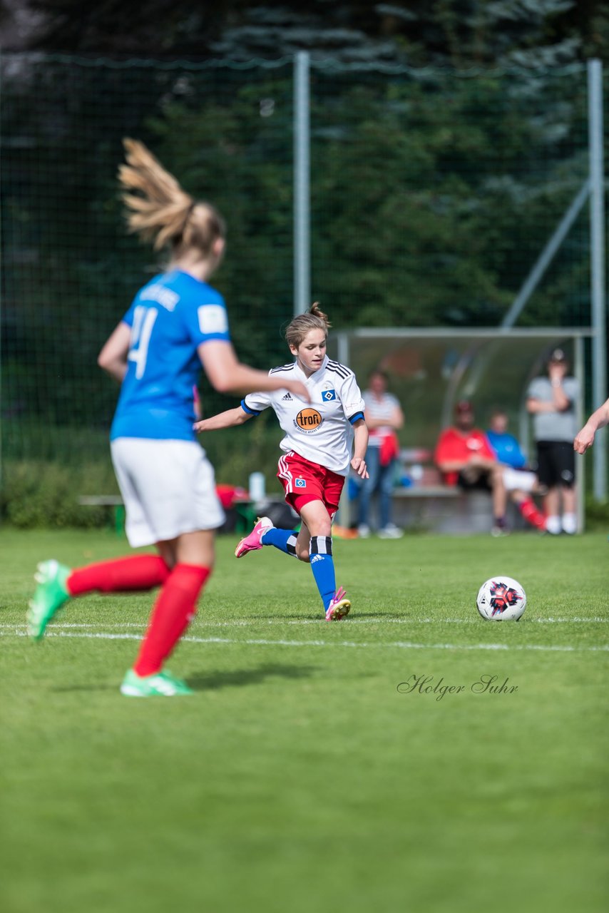 Bild 267 - wBJ Hamburger SV - Holstein Kiel : Ergebnis: 2:0